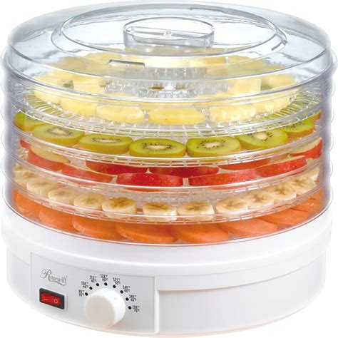 fruit dehydrator machine